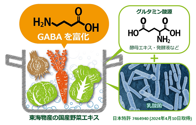 GABAを富化